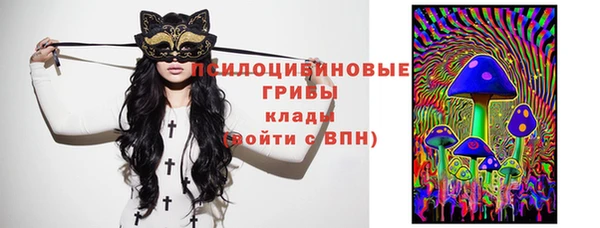 ПСИЛОЦИБИНОВЫЕ ГРИБЫ Бородино