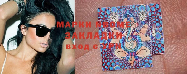 ПСИЛОЦИБИНОВЫЕ ГРИБЫ Бородино