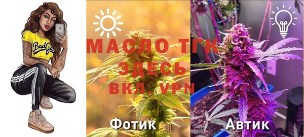 ПСИЛОЦИБИНОВЫЕ ГРИБЫ Бородино