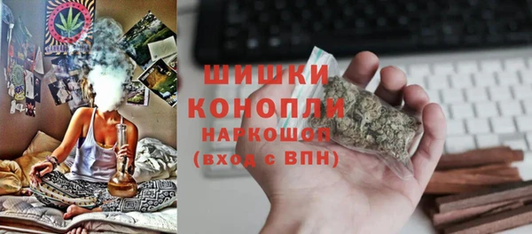 гидра Бронницы