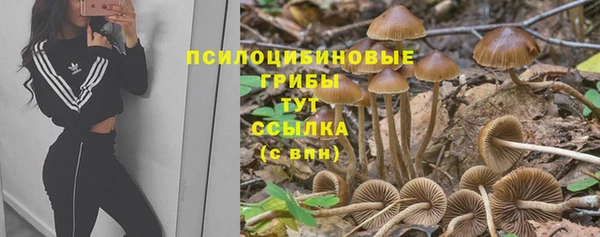 jwh Богородицк