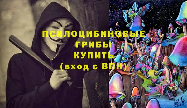 СК Сафоново