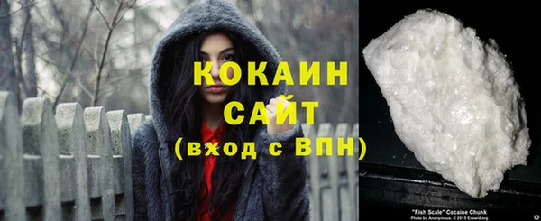 шишки Богородск