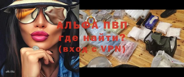 СК Сафоново