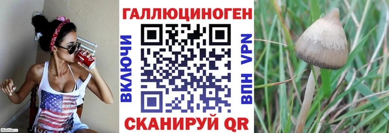 Псилоцибиновые грибы Cubensis  даркнет наркотические препараты  Наро-Фоминск 